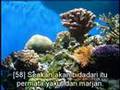 Terjemahan Surah Al-Rahman