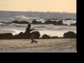 videos de Wind Rider