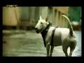 v�deo clipe 