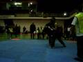 sanshou-paulista-200