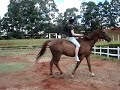 eu e o D'natganha