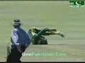 AB de Villiers - Brilliant run out