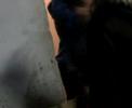 videos noturnos