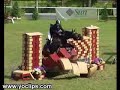 Horse Crashes into a Fence Horse Crashes into a Fence