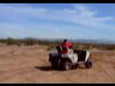 dads_cart