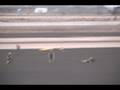 2008 MCAS Miramar Airshow - MAGTF Demo