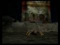 Deadly Creatures Tarantula Vs Rattle Snake Final Battle