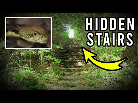 Tennessee Wonderland: Exploring an Abandoned Mountain Neighborhood and Hotel