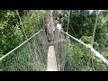 Canopy Walk