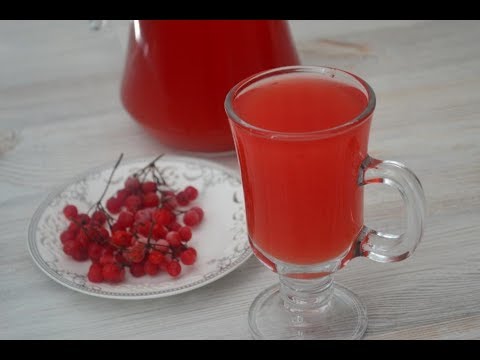 Морс из калины — лечебный напиток