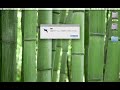 次期MaClient