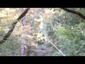 ALJE ACROBRANCHE 6
