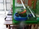 Gonzo Bathing...