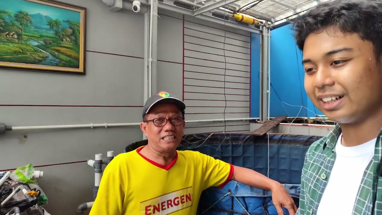 Aplikasi pembuatan Pro biotik untuk pembibisan pakan
