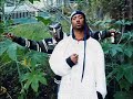 MF Doom - Doomsday (Unofficial Video)