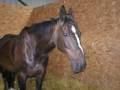 Tribute To Monty.. x By Billie Tribute To Monty.. x By Billie
