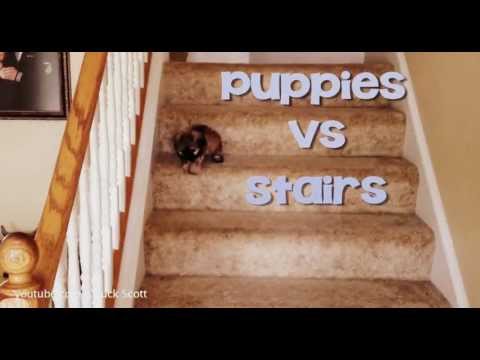 Vídeo
