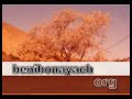 benibouayach.org Tifyour Tofali  new album 2008 ???? ????? ?????