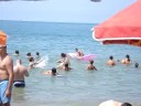 ascea 2008