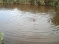 waterskien volders (teune) waterskien volders (teune)
