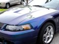 2004 Ford Mustang Cobra SVT 30518 Jw Truck Sales Inc.