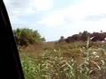 Road to Peratallada (September 2008)