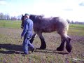 Mieke 16 april