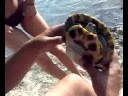 pesca al lago 5