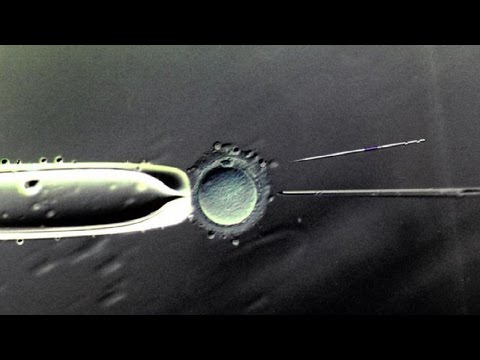 how to prove drug use in court