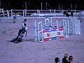 DSCN5217.MOV DSCN5217.MOV
