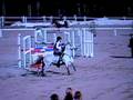 videos de DSCN5217.MOV