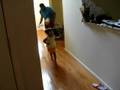 videos de Trisha having fun