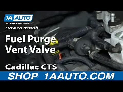 How To Install Replace Fuel Purge Vent Valve 2003-10 2.6L Cadillac CTS