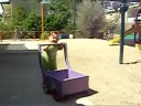 הפעם הראשונהשנופרי הולכת