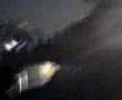 carletto che spinge matteo