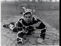 Mr. Cow
