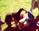 pelea