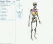 人体模型を3Dで詳しく見れるサイト「Visible Body」