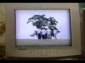 Video screenshot