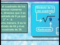 Raiz Cuadrada. GenMàgic.org