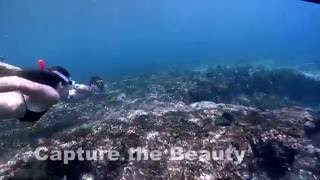 Snorkeling Video