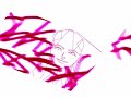 plays 5 plays 5