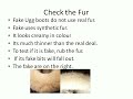 Ugg Boots-Don\ Ugg Boots-Don\