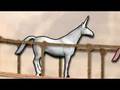 charlietheunicorn.mp4