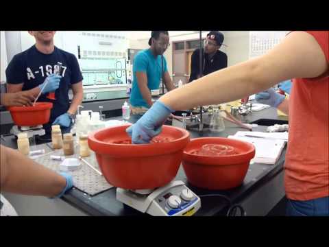 how to synthesize an azo dye