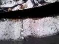 videos de Hormigas!!!
