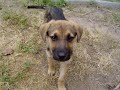 Esperanza busca un Hogar