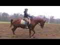 KMF Horse and Rider Training: Kate Riding Several Horses