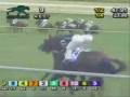 videos de Marcavelly wins Central Bank of Transylvania Stakes