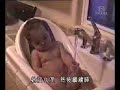 Funny Baby free Funny Babies videos
